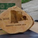 Custom Awards | 3. Sarie | Markina Xemein 2016